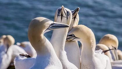 北京pk10计划-广东宏远从追到9分到崩盘20分：那一波换人，把胜利换给了辽宁